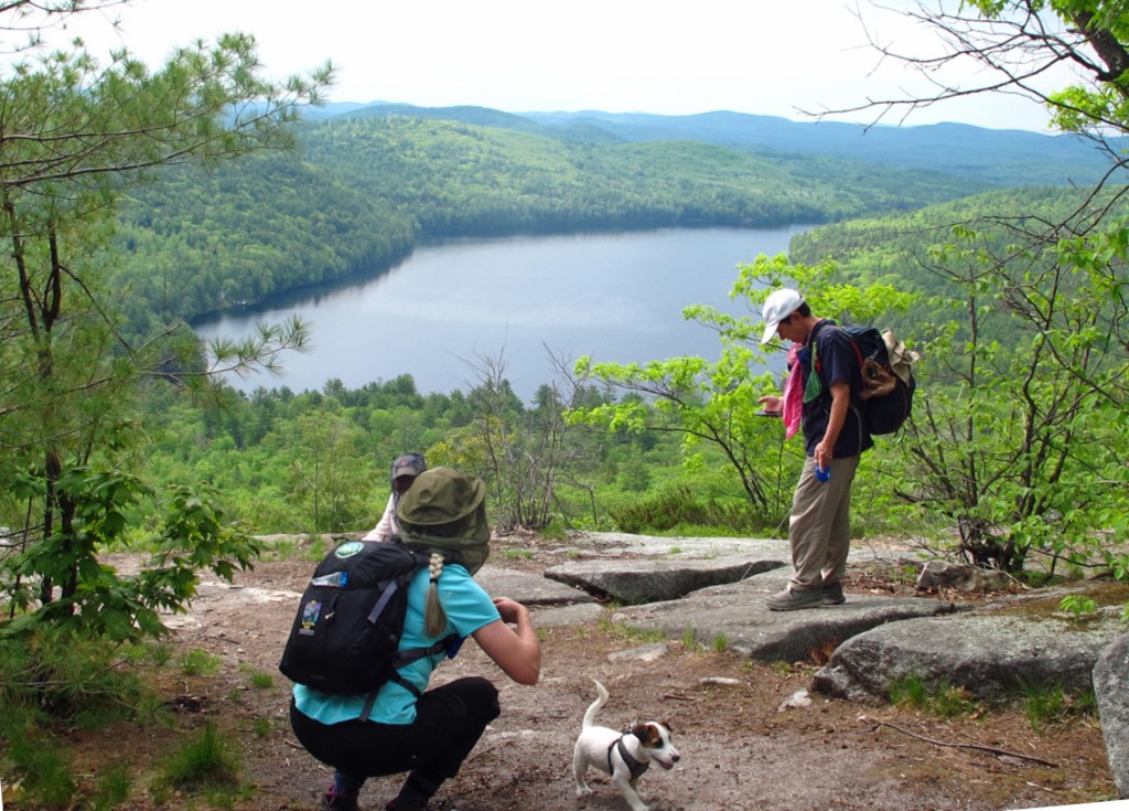 View from Bald Ledge