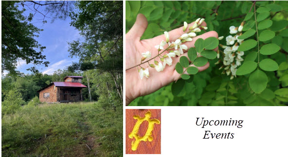Upcoming Late Spring Events with Francis Small Heritage&nbsp;Trust!